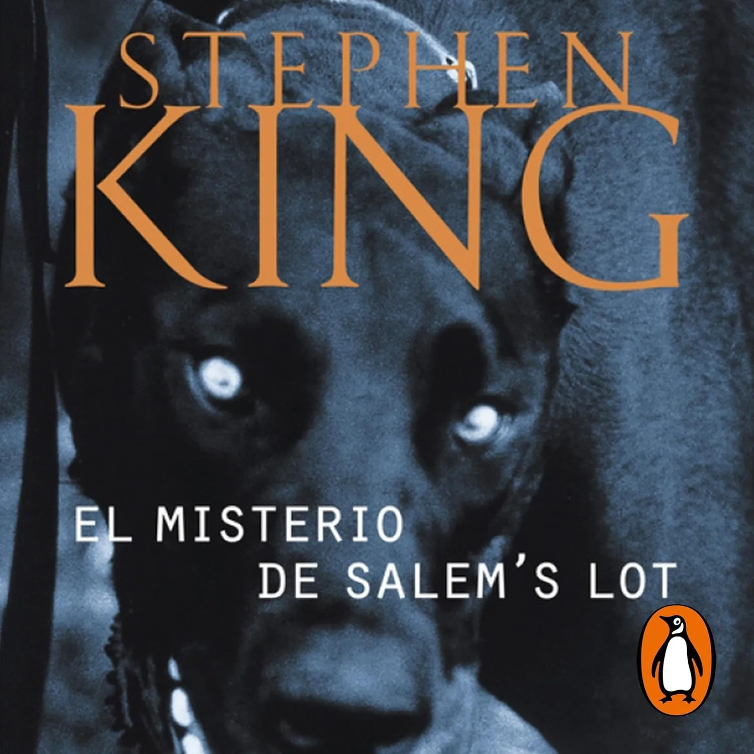 El misterio de Salems Lot audiolibro gratis