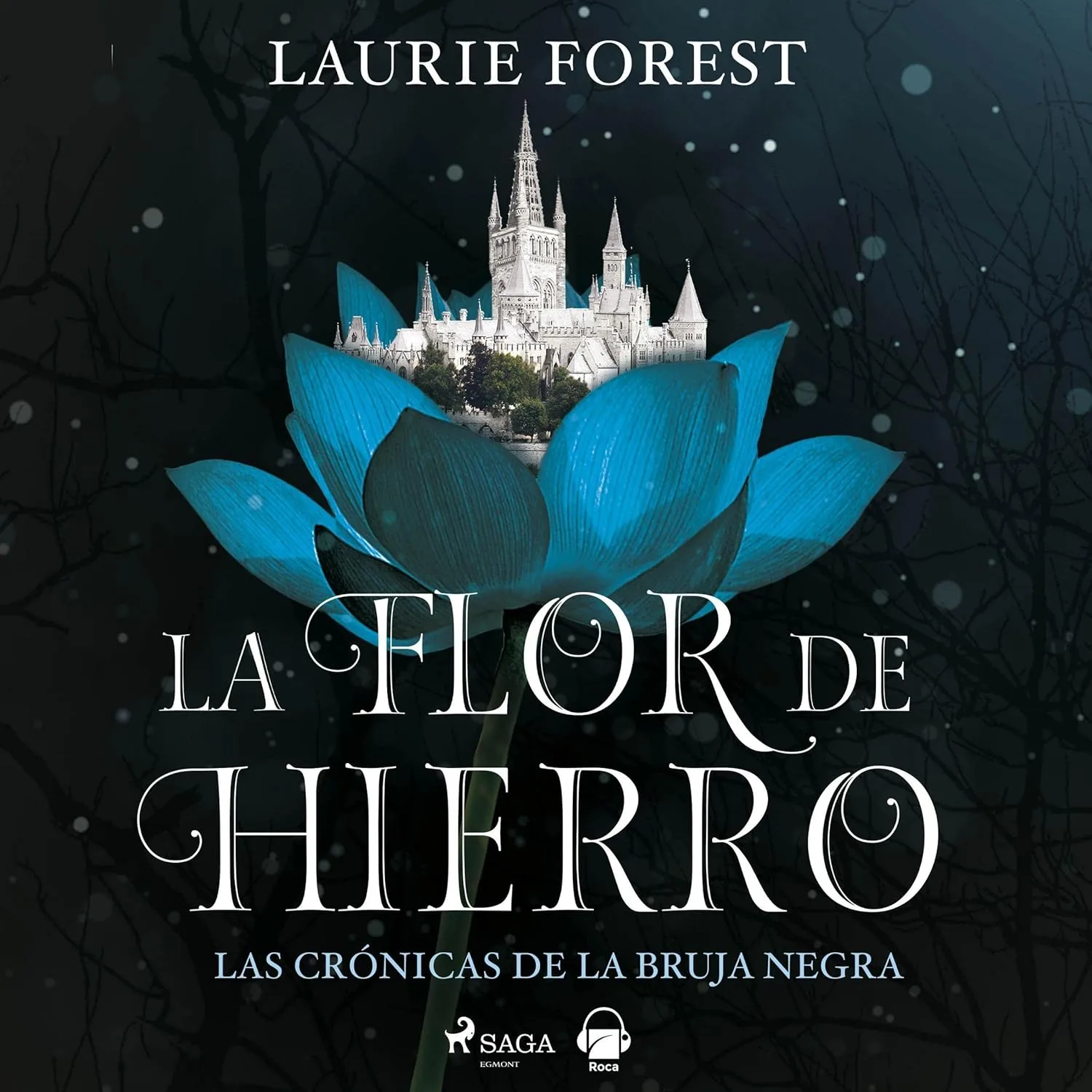 flor de hierro audiolibro gratis